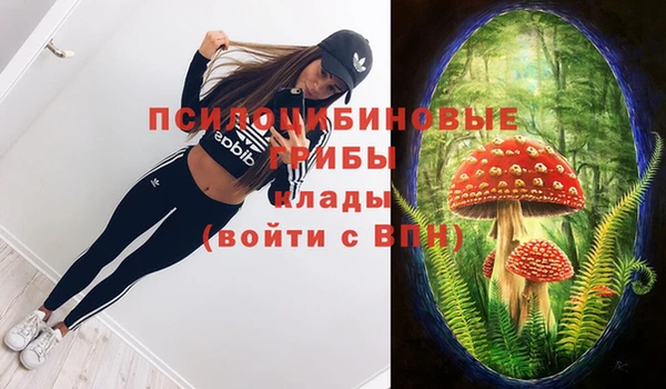 бошки Киреевск