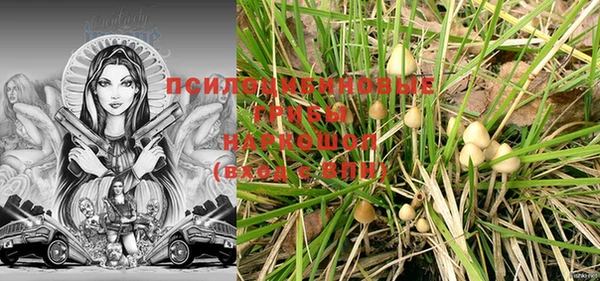 MESCALINE Кинешма