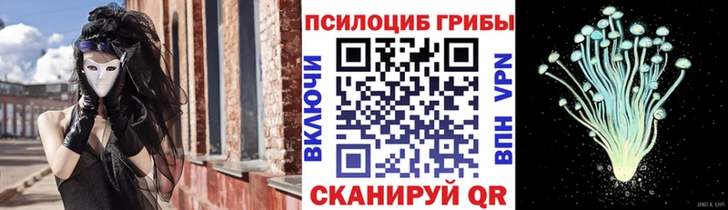 Галлюциногенные грибы Psilocybine cubensis  Купить закладки  Якутск 