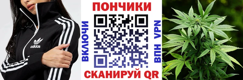 Купить закладки  Якутск  Шишки марихуана конопля 